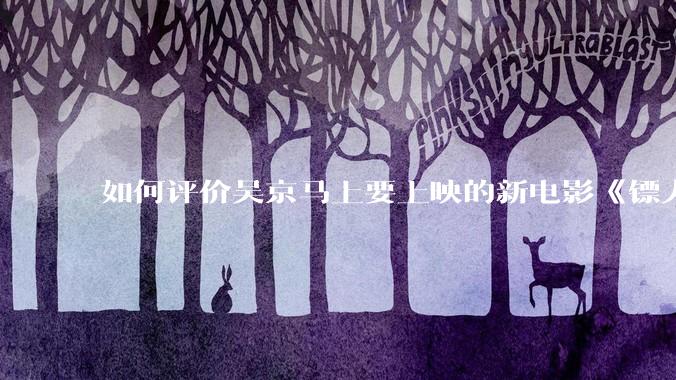 如何评价吴京马上要上映的新电影《镖人》？