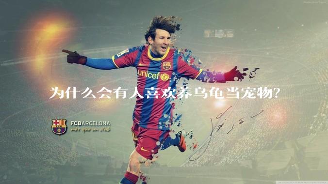 为什么会有人喜欢养乌龟当宠物？