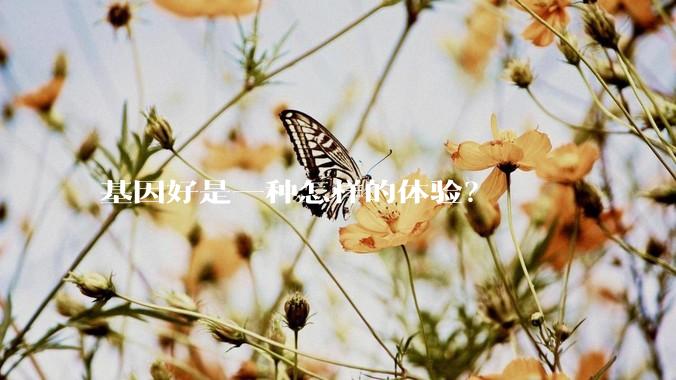 基因好是一种怎样的体验？