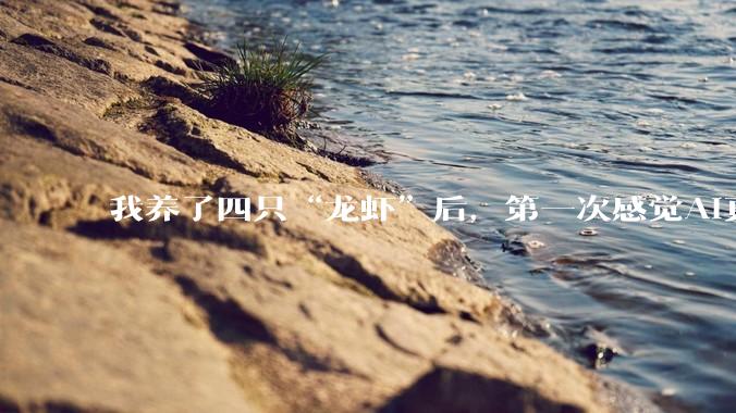 我养了四只“龙虾”后，第一次感觉AI真能当员工了，但是……！_OpenClaw_用户_工作