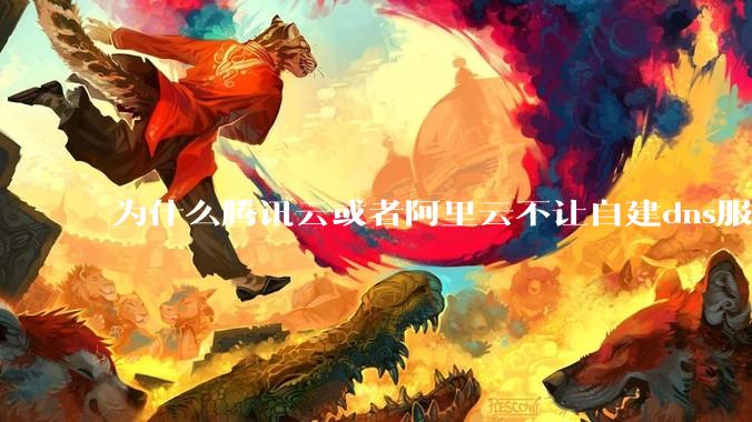 为什么腾讯云或者阿里云不让自建dns服务器?